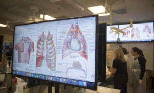 Students work in the cadaver lab in the L.S. and Aline W. Skaggs Treasure Valley Anatomy and Physiology Laboratories September 23, 2015.