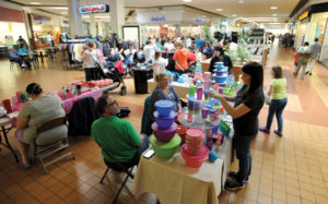 The Spring Fair held at the Pine Ridge Mall. 