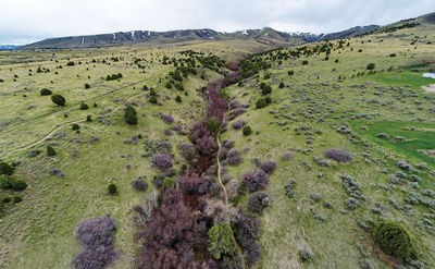 Lower City Creek Trail